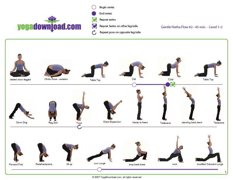 beginner  back for Yoga2 poses yoga