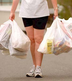 Bags To Carry Groceries 2024 favors