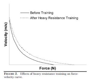 Effects of Heavy Strength Training