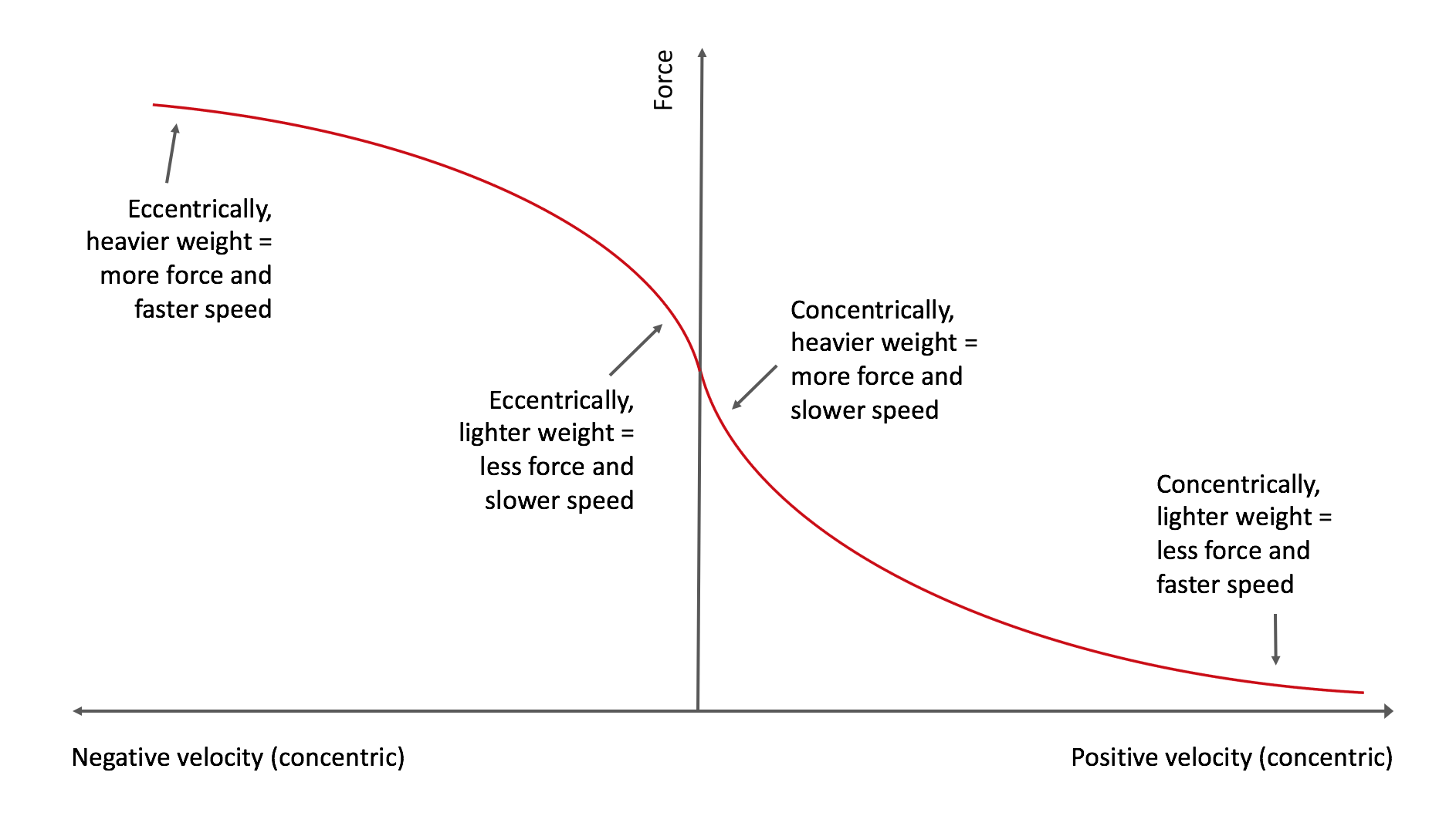 For maximal strength gains, should you use slow eccentrics?