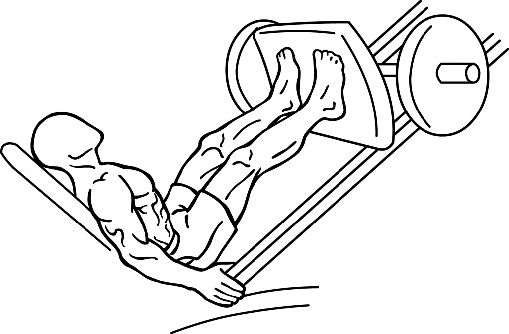 Leg press machine diagram top