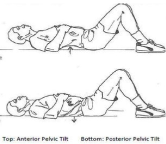 Lumbopelvic Posture