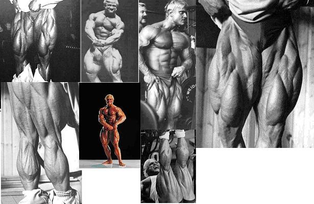 I don't know if anyone has come close - Jay Cutler believes no one has  surpassed Ronnie Coleman's physique