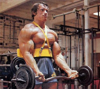 Arnold Bicep Curl Arm Blaster1 Bret Contreras