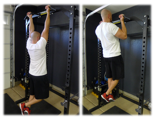 Kinesiology of the Chinup / Pullup