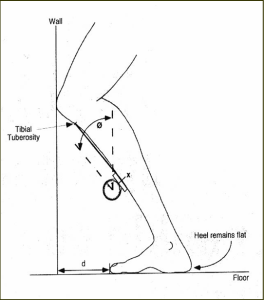 lunge-test4