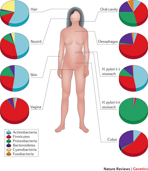 microbiome 2